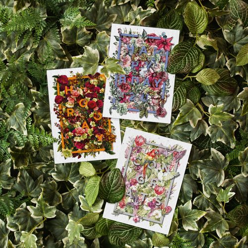 Everyday Greeting Seed Card Greeting Cards